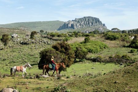 3 Days Bale Mountains TRekking